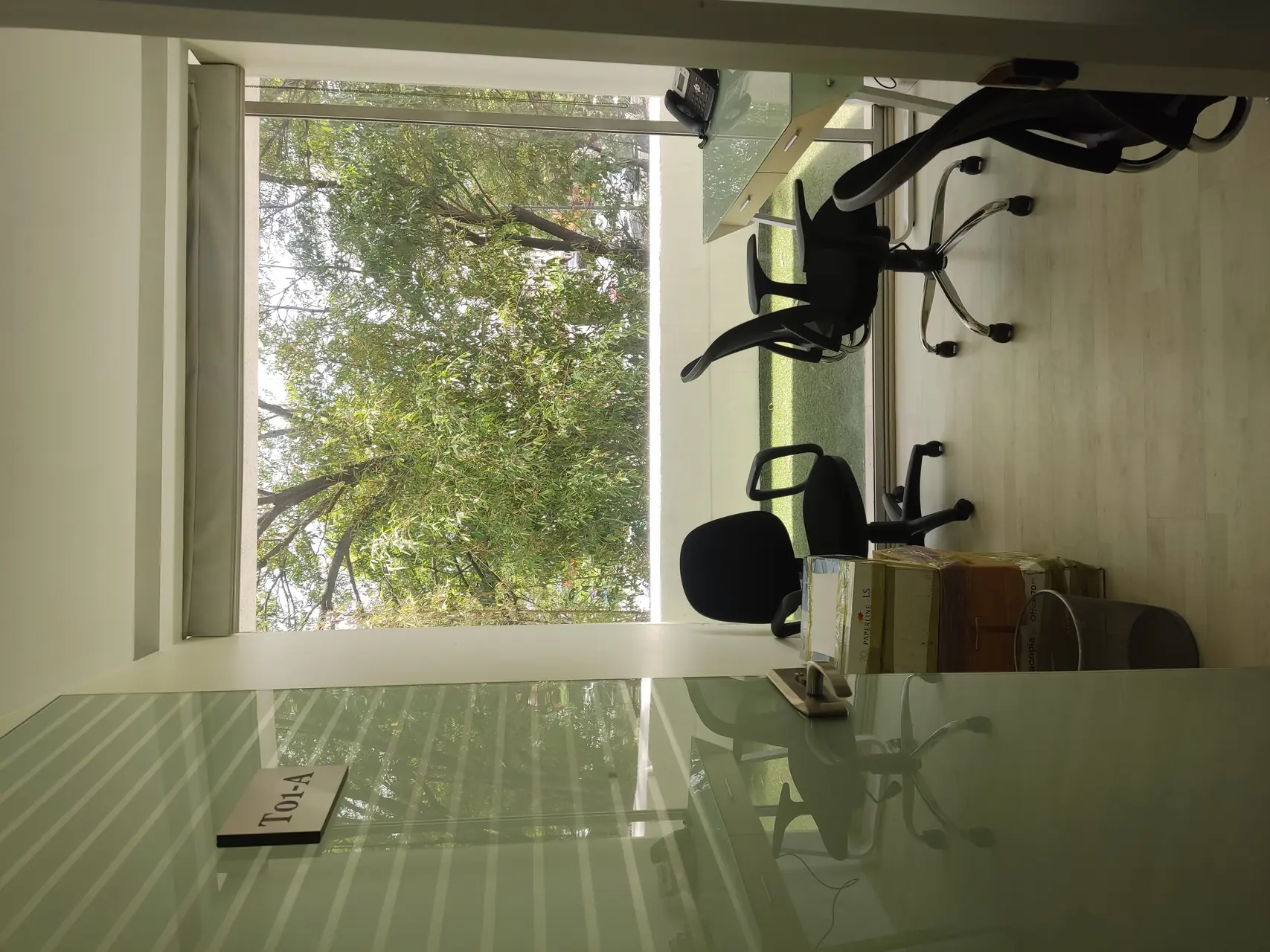 Recepción Zona Dorada