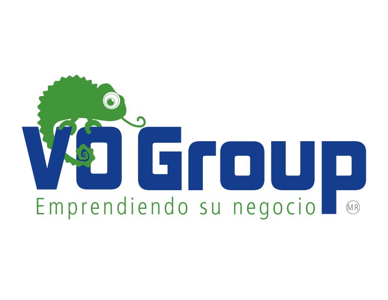 VO GROUP