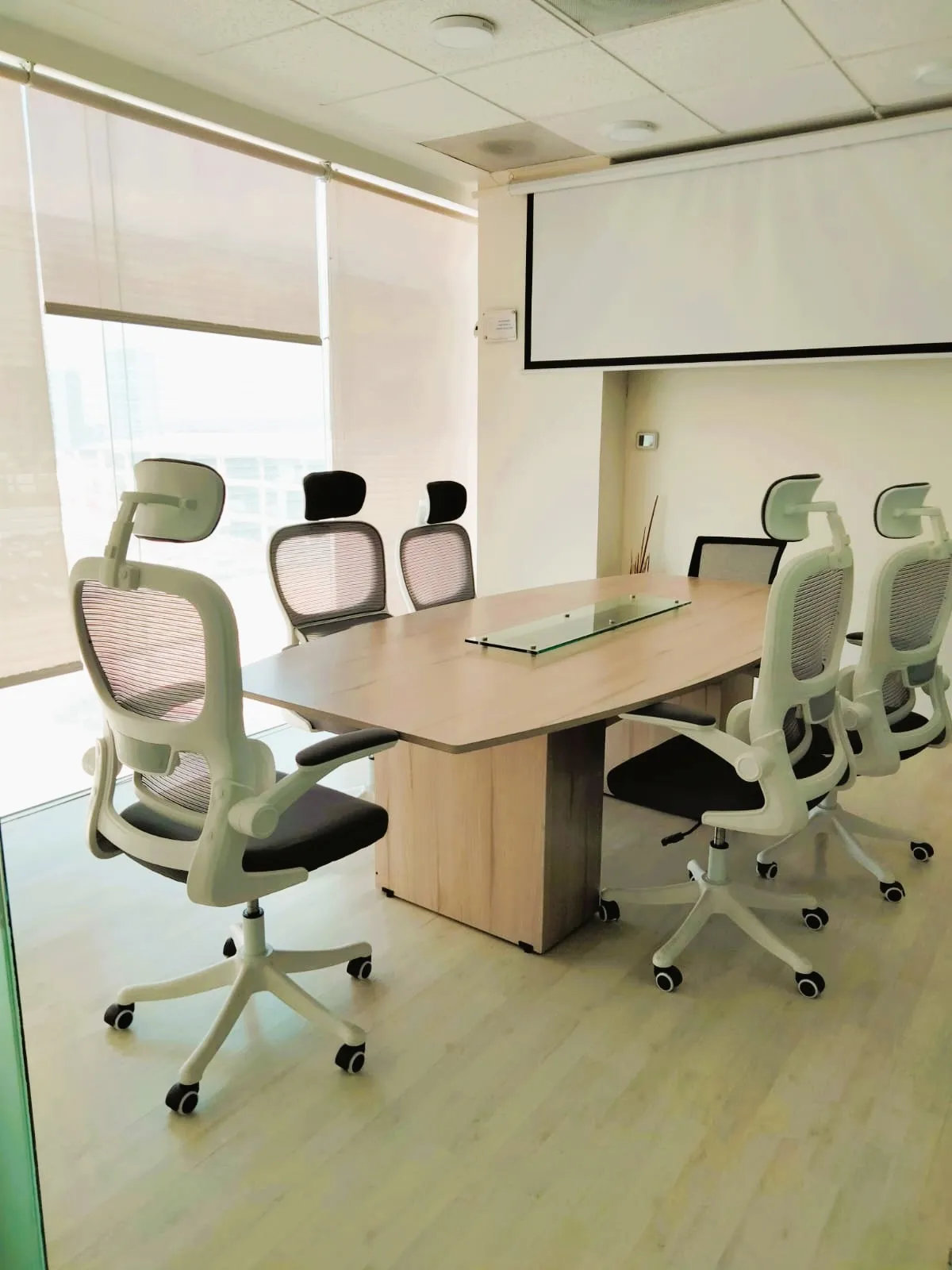 Sala de Juntas para 6 personas en AngelÃ³polis